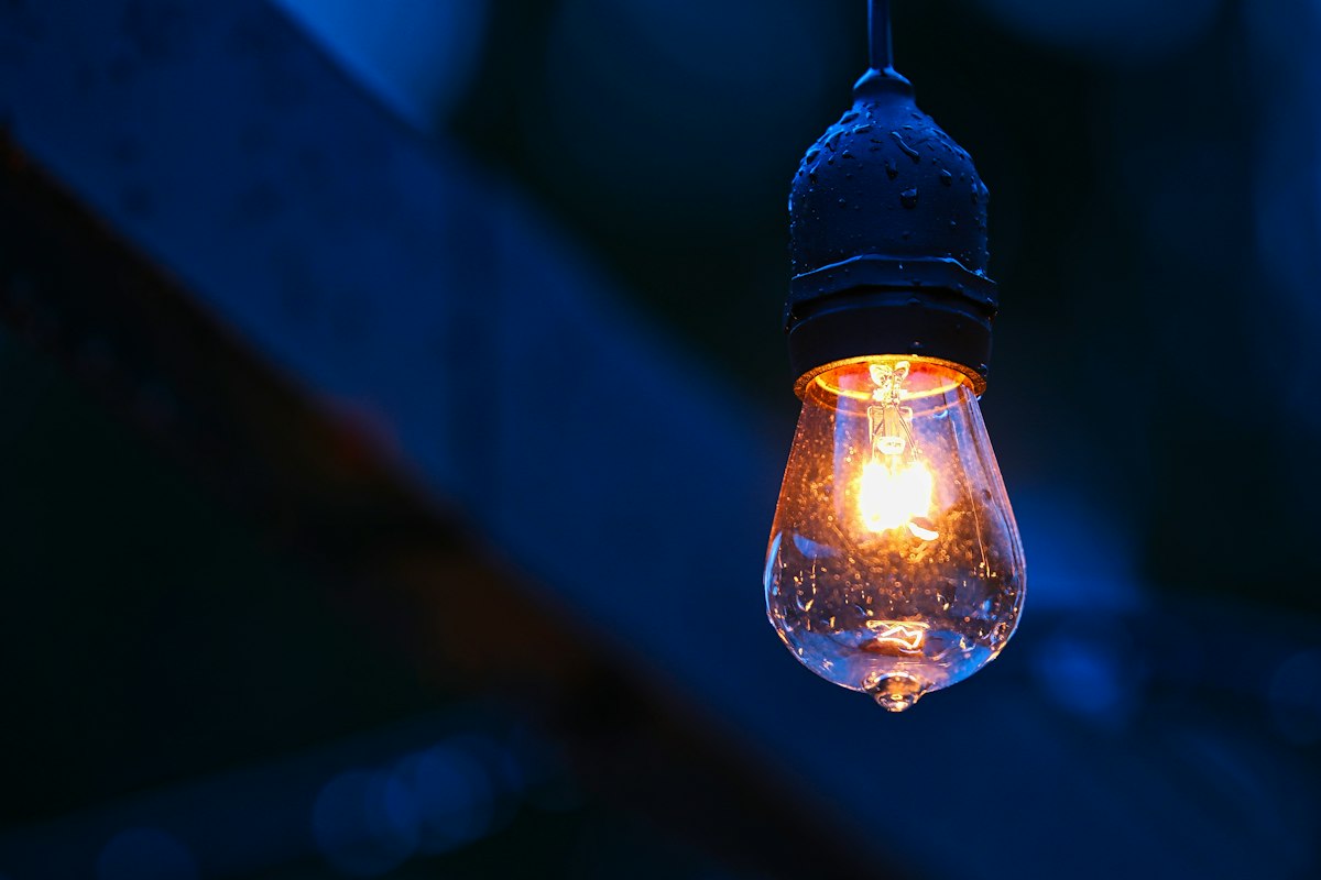 Edison style light bulb